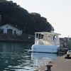 海中の樹海ワールド