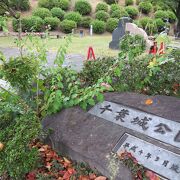 坪井川に面した千葉城公園