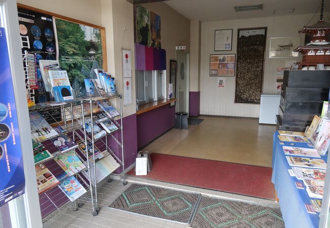 貝層剥ぎ取り断面