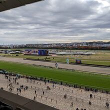 東京競馬場