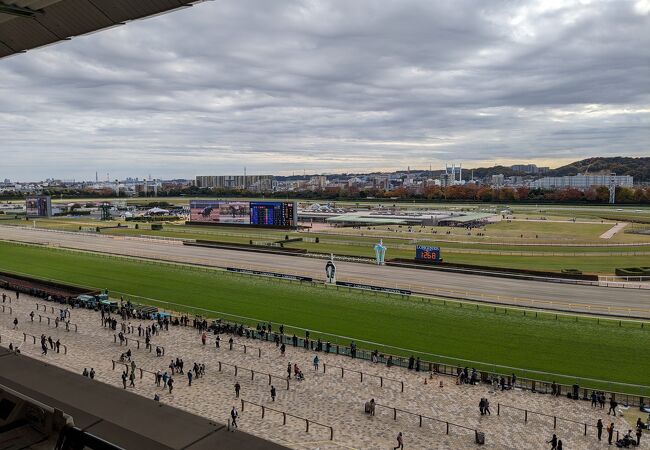 東京競馬場