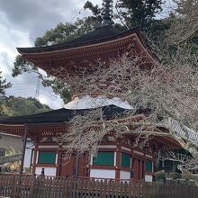 多宝塔。平安時代のもの。形式は日本最古のものだそう。