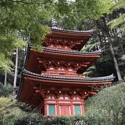 訪問した時がちょうど、秋の秘宝、秘仏の特別公開と三重塔初層の特別開扉の時期と重なっていて、とてもお得感があった。