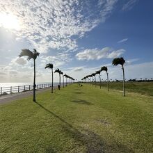 豊崎海浜公園