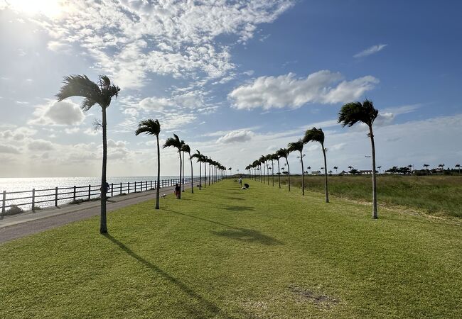 豊崎海浜公園