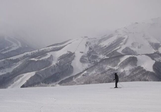 白馬岩岳スノーフィールド