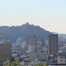 西の山の上に松山城も見えます