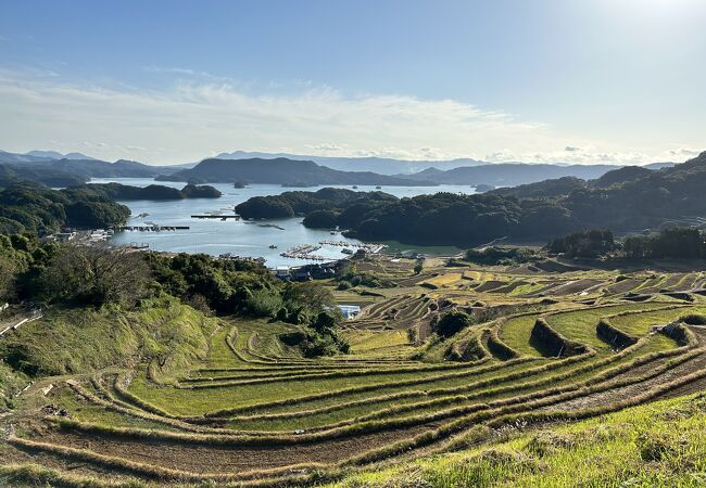 大浦の棚田