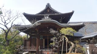 南禅寺 聴松院