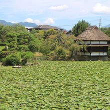 衆楽園(旧津山藩別邸庭園)