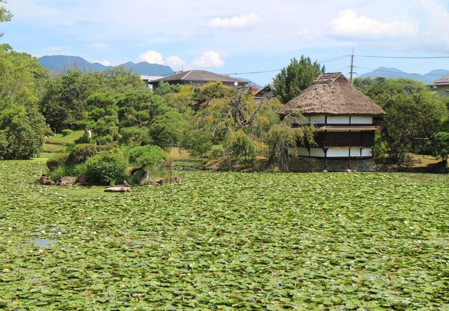 衆楽園(旧津山藩別邸庭園)