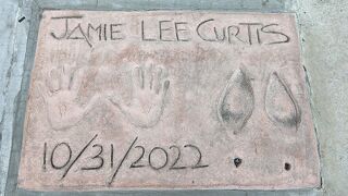 手型足型をじっくり見たいなら案外時間を要します