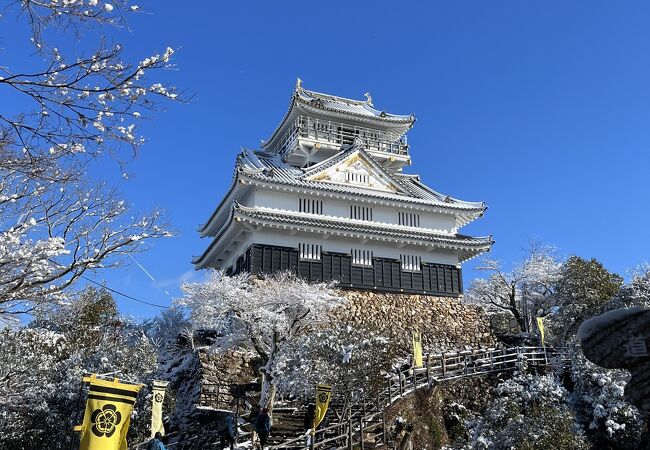 青空に舞う雪吹雪の中の岐阜城