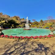 緑が多く美しい公園