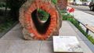 卵をひっくり返したような形をしたレトロな水道管