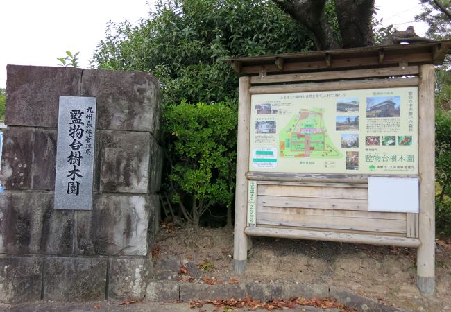 熊本城の一角にある樹木園