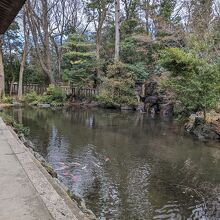 絵馬堂前からの神宮に湧き出た名水の池「亀の池」