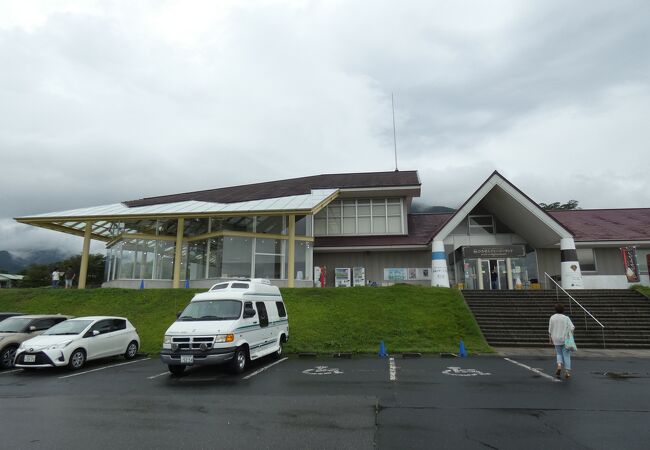 ジャージー牛乳とソフトクリームが美味しい