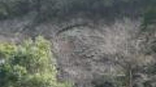 素盞嗚尊がざんげの印として