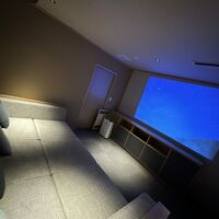 部屋の半分は暗いシアタールーム。音響と迫力は素晴らしいです。