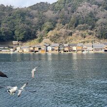 伊根湾めぐり遊覧船