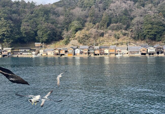 伊根湾めぐり遊覧船