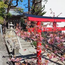 走り湯神社