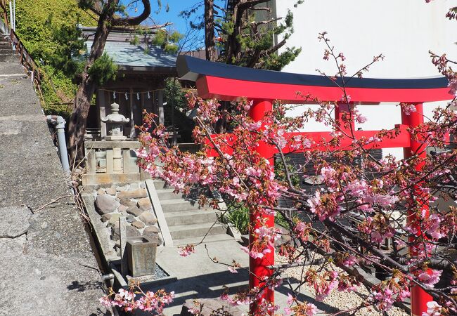 走り湯神社