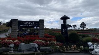 綺麗な花畑 入場無料