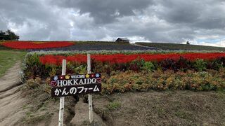 入場無料の花畑