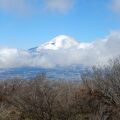 金時山･･･箱根で人気の山
