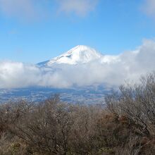 金時山山頂