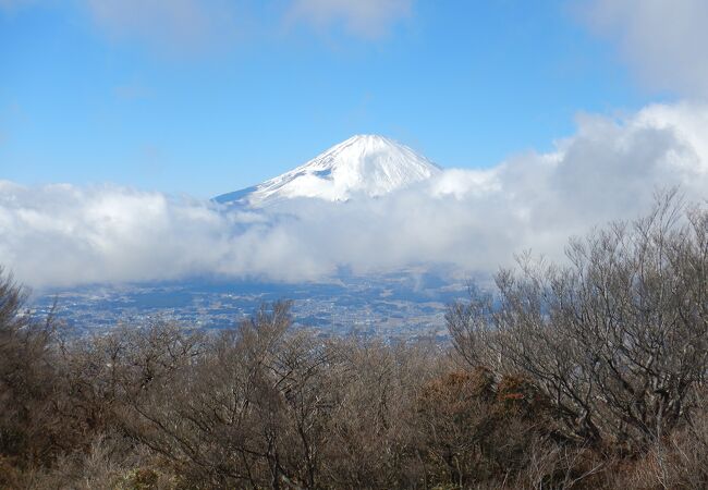 金時山山頂