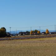 県立羽生水郷公園、県営さいたま水族館、羽生市三田ヶ谷農林公園（キッッセ羽生）の近くで開催