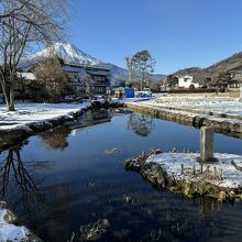 ８番霊場の菖蒲池