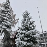 恵みの雪！！