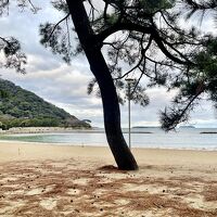 ホテル裏は菊ヶ浜