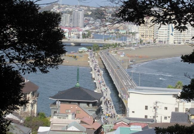 富士山を眺めながら歩きましょう