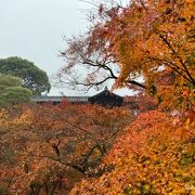 想像以上に美しい紅葉