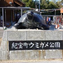 紀宝町ウミガメ公園