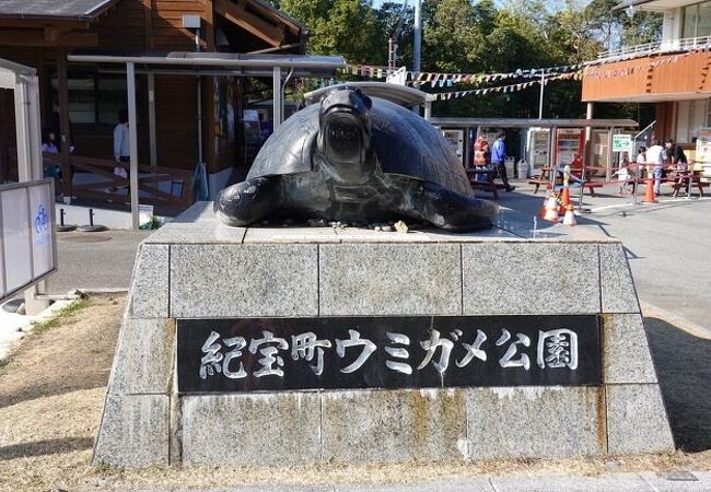 紀宝町ウミガメ公園