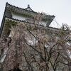 福島県立霞ヶ城公園(国指定史跡二本松城跡)