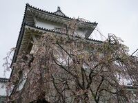 福島県立霞ヶ城公園(国指定史跡二本松城跡)