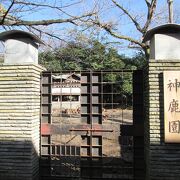 神鹿園の鹿に餌をあげてみました