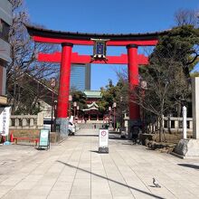 《富岡八幡宮》大鳥居付近