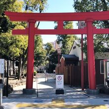 《富岡八幡宮西鳥居》