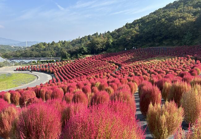 志摩市観光農園