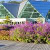 名前の通り 花が素晴らしい公園