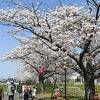 桜並木としては 愛知県 最長