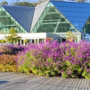 名前の通り 花が素晴らしい公園